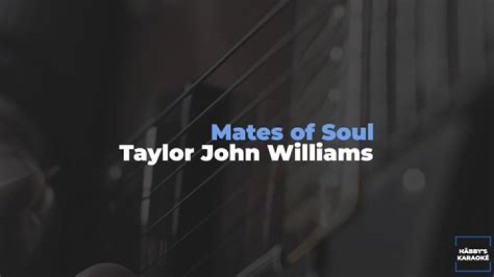 The Meaning Behind The Song: The Mates of Soul by Taylor John Williams