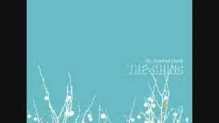 The Meaning Behind The Song: The Past and Pending by The Shins