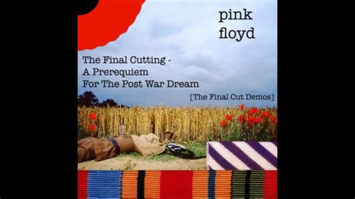 The Meaning Behind The Song: The Post War Dream by Pink Floyd