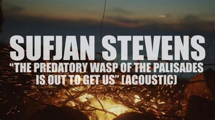 The Meaning Behind The Song: The Predatory Wasp of the Palisades Is out to Get Us! by Sufjan Stevens