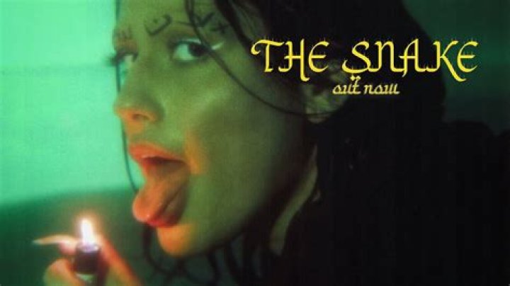 The Meaning Behind The Song: THE SNAKE by Lana Lubany