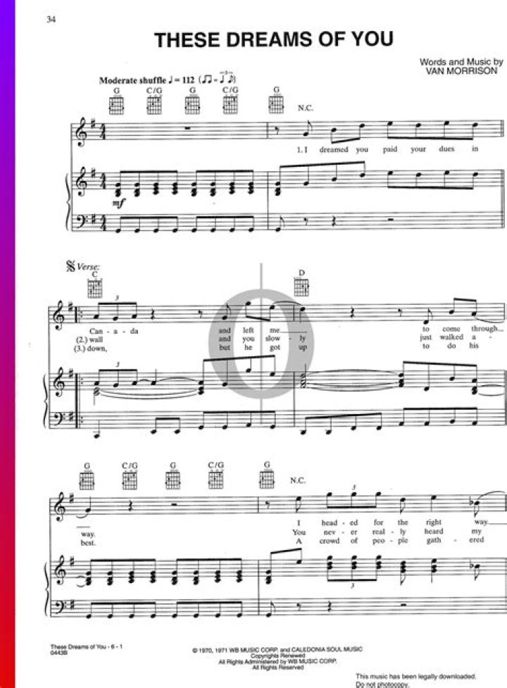 The Meaning Behind The Song: These Dreams of You by Van Morrison