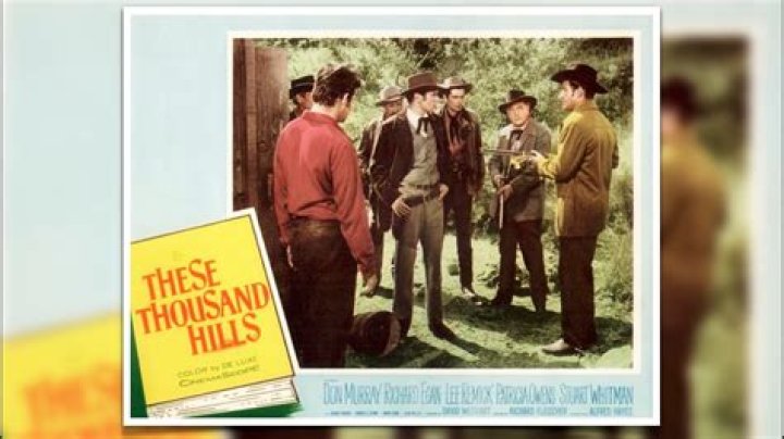 The Meaning Behind The Song: These Thousand Hills by Third Day