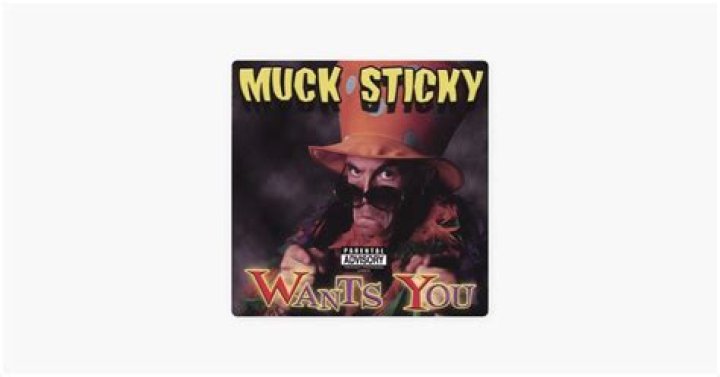 The Meaning Behind The Song: Thingy Thing by Muck Sticky