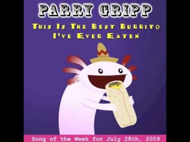 The Meaning Behind The Song: This Is the Best Burrito I’ve Ever Eaten by Parry Gripp