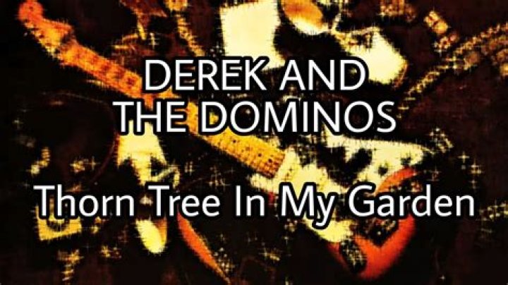 The Meaning Behind The Song: Thorn Tree in the Garden by Derek & the Dominos