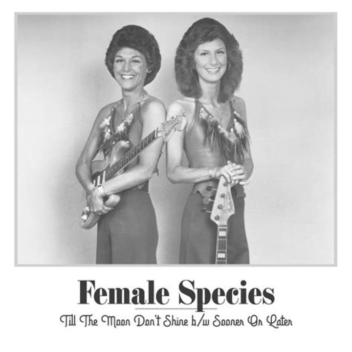 The Meaning Behind The Song: Till the Moon Don’t Shine by Female Species