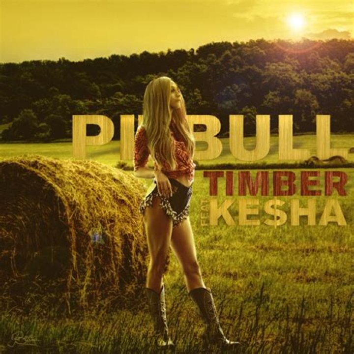 The Meaning Behind The Song: Timber by Pitbull (featuring Kesha)
