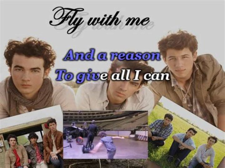 The Meaning Behind The Song: Time for Me to Fly by Jonas Brothers