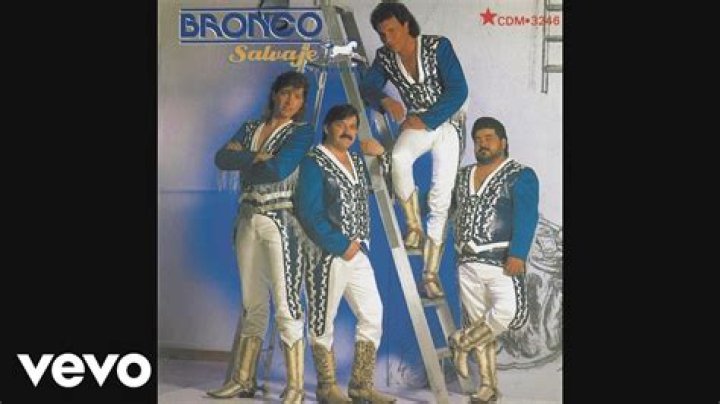 The Meaning Behind The Song: Total Que Mas Da by Bronco Es Bronco