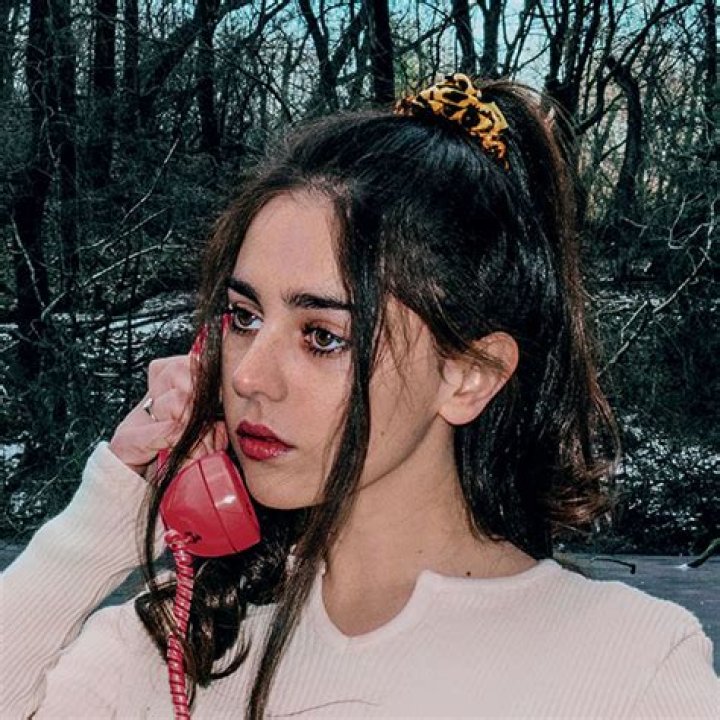 The Meaning Behind The Song: Triptych by Samia