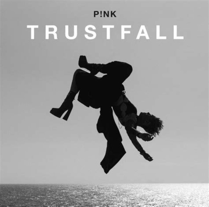 The Meaning Behind The Song: TRUSTFALL by P!nk