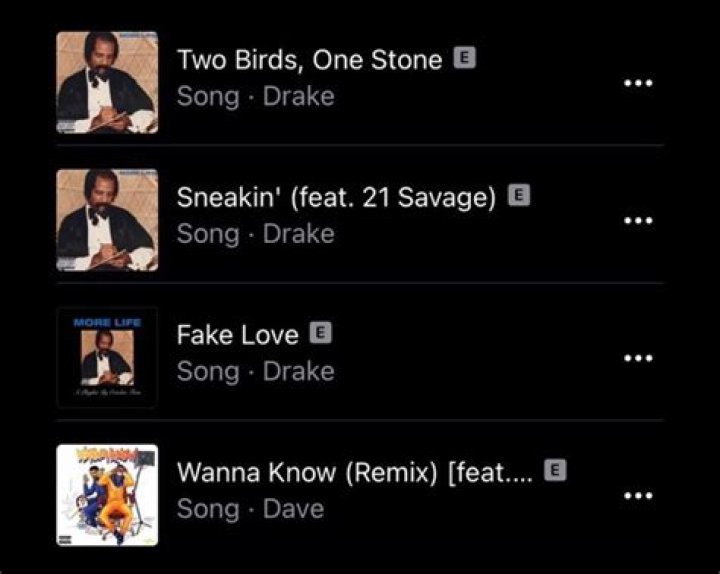 The Meaning Behind The Song: Two Birds One Stone by Drake