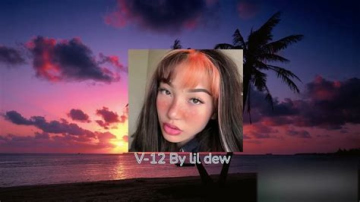 The Meaning Behind The Song: V-12 by Lil Dew