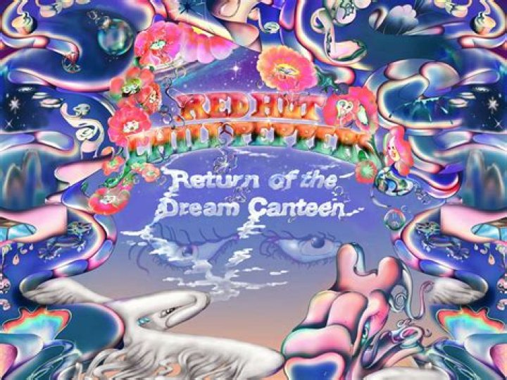 The Meaning Behind The Song: Venice Queen by Red Hot Chili Peppers