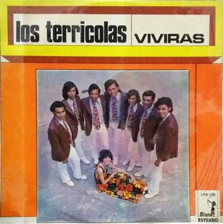 The Meaning Behind The Song: Vivirás by Los Terricolas