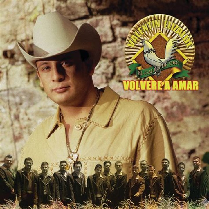 The Meaning Behind The Song: Volveré a Amar by Valentín Elizalde