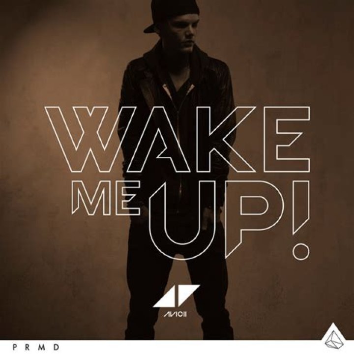The Meaning Behind The Song: Wake Me Up by Avicii (featuring Aloe Blacc)