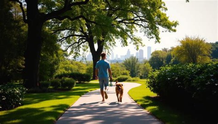 The Meaning Behind The Song: Walking the Dog by Aerosmith