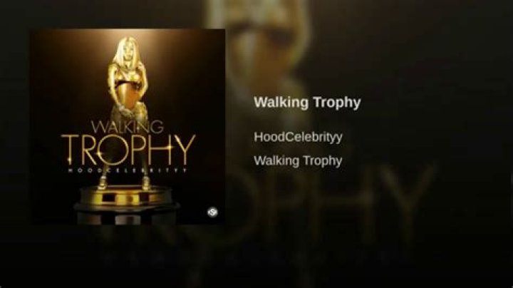 The Meaning Behind The Song: Walking Trophy by Hoodcelebrityy