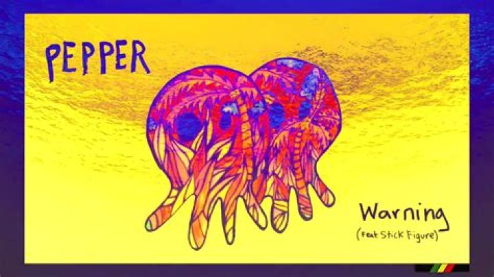 The Meaning Behind The Song: Warning (feat. Stick Figure) by Pepper