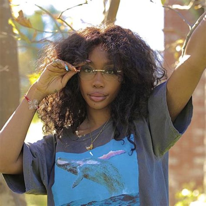 The Meaning Behind The Song: Wavy (Interlude) (Demo 3) by SZA