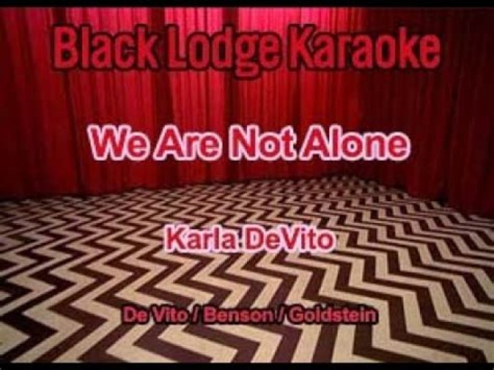 The Meaning Behind The Song: We Are Not Alone by Karla DeVito