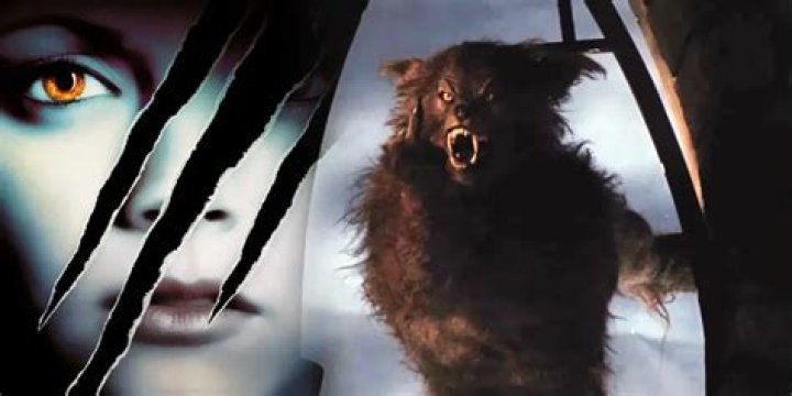 The Meaning Behind The Song: Werewolf Rap by CURSED WOLF