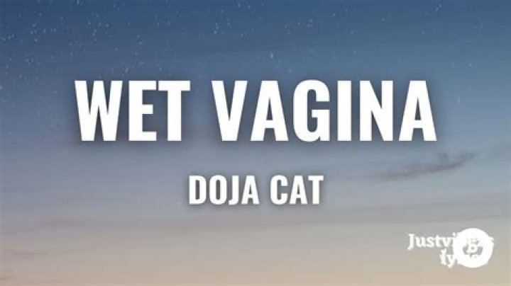 The Meaning Behind The Song: Wet Vagina by Doja Cat