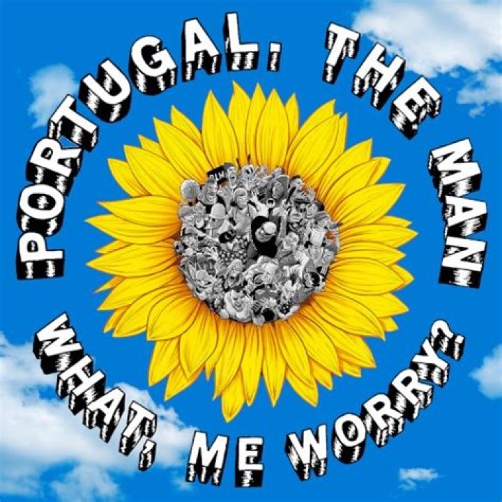 The Meaning Behind The Song: What, Me Worry? by Portugal. The Man