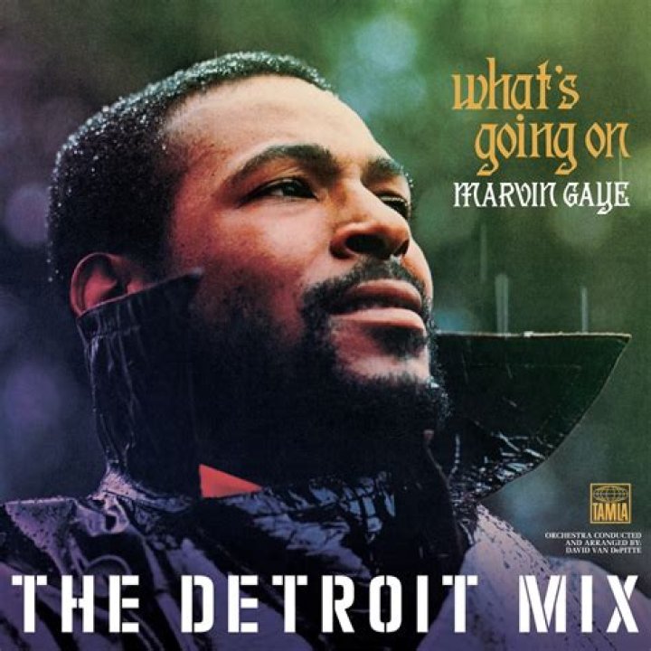 The Meaning Behind The Song: What’s Happening Brother (Detroit Mix) by Marvin Gaye