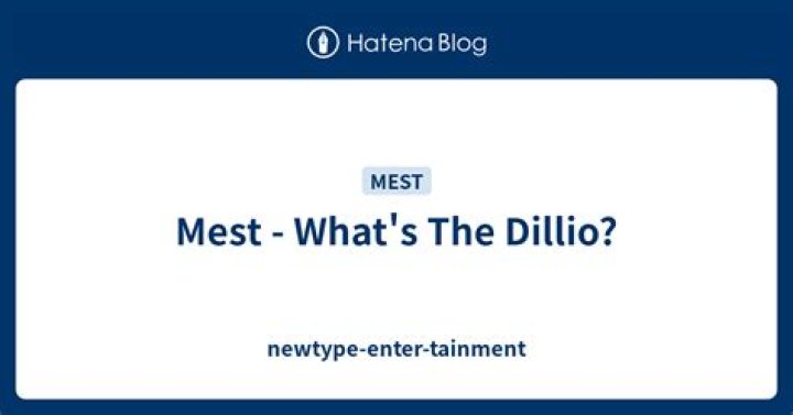 The Meaning Behind The Song: What’s The Dillio? by MEST