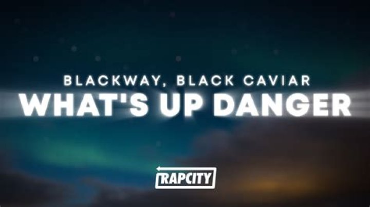 The Meaning Behind The Song: What’s Up Danger by Black Caviar