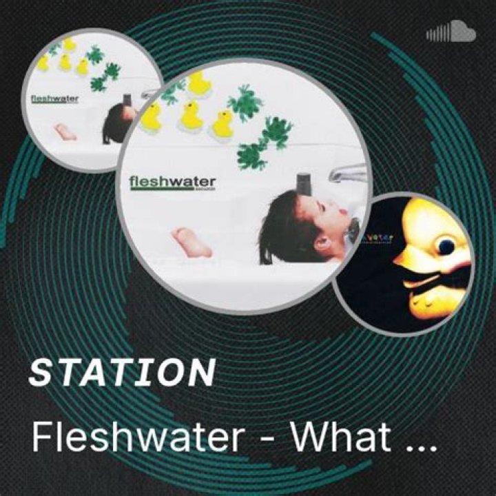 The Meaning Behind The Song: What Was Really Said by Fleshwater