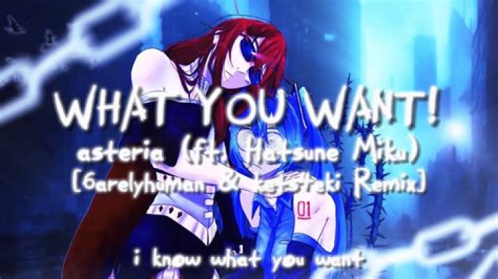 The Meaning Behind The Song: WHAT YOU WANT! (Remix) by ​asteria