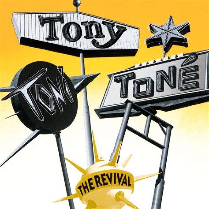 The Meaning Behind The Song: Whatever You Want by Tony! Toni! Toné!