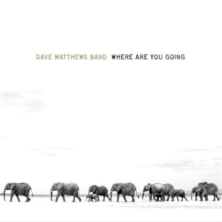 The Meaning Behind The Song: Where Are You Going? by Dave Matthews Band