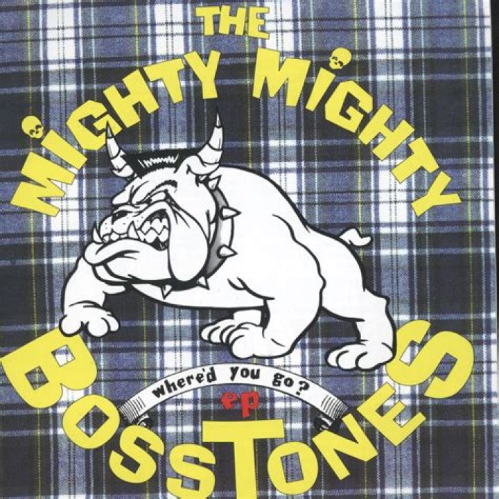 The Meaning Behind The Song: Where’d You Go by The Mighty Mighty Bosstones