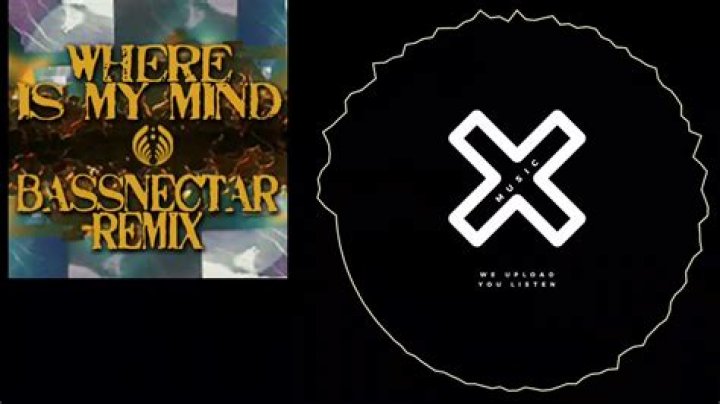 The Meaning Behind The Song: Where Is My Mind? (Bassnectar Remix) by Cee