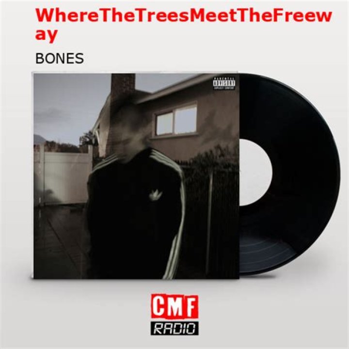 The Meaning Behind The Song: WhereTheTreesMeetTheFreeway by Jack Rootes