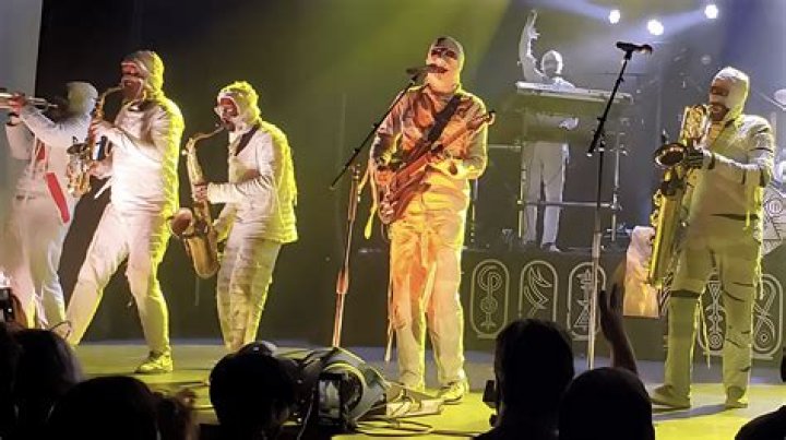 The Meaning Behind The Song: Whip It Out by Here Come The Mummies