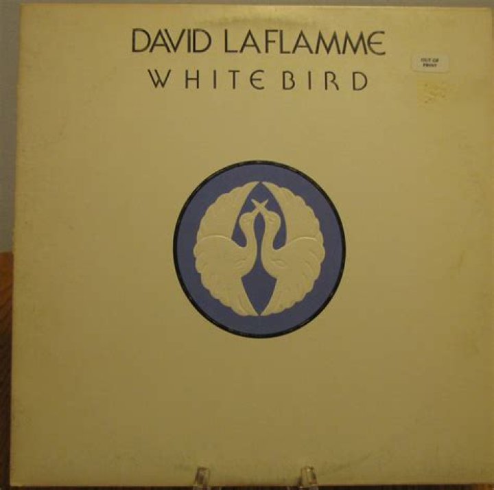 The Meaning Behind The Song: White Bird by David LaFlamme
