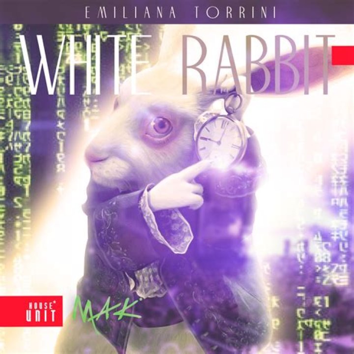 The Meaning Behind The Song: White Rabbit by Emiliana Torrini