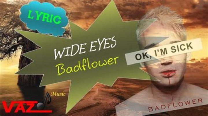 The Meaning Behind The Song: Wide Eyes by Badflower