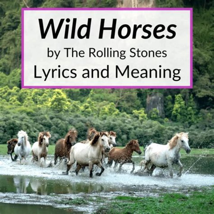 The Meaning Behind The Song: Wild Horse by Warren Zeiders