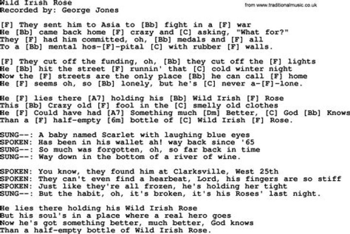 The Meaning Behind The Song: Wild Irish Rose by George Jones