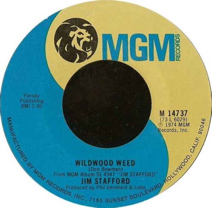 The Meaning Behind The Song: Wildwood Weed by Jim Stafford
