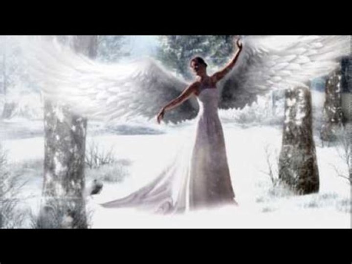 The Meaning Behind The Song: Winterborn by The Crüxshadows