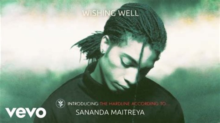 The Meaning Behind The Song: Wishing Well by Sananda Maitreya
