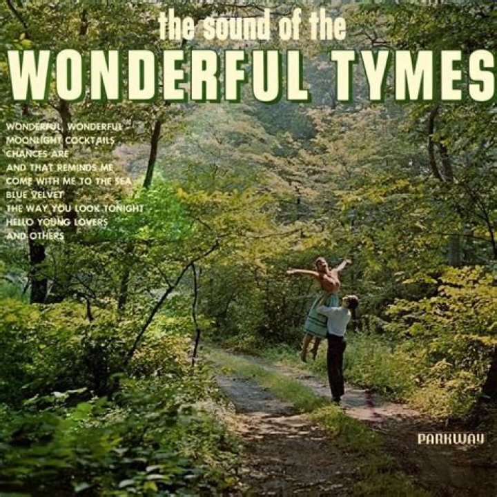 The Meaning Behind The Song: Wonderful! Wonderful! by The Tymes